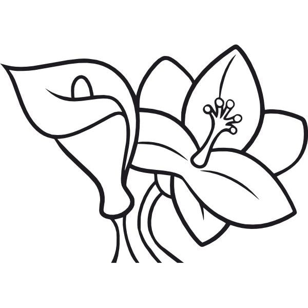 Kála, Liliom homokkép-ugyeske.hu-homokkepek-homokrajzok